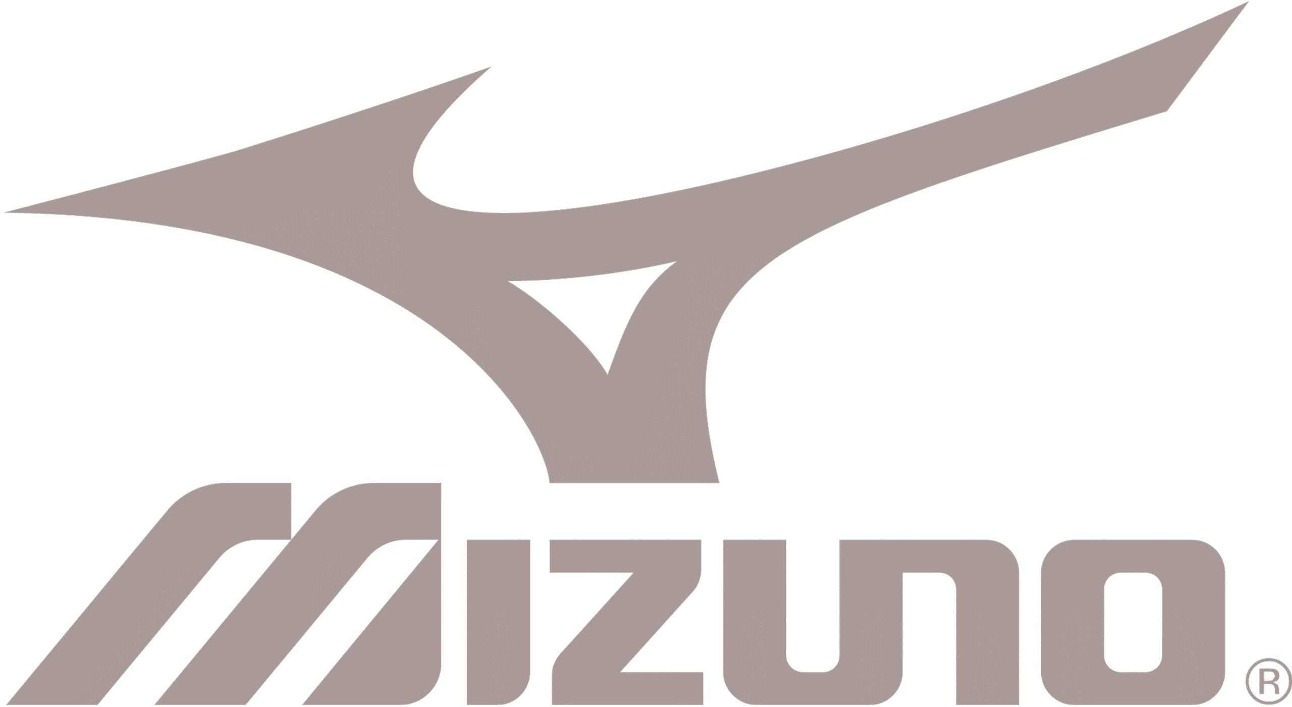 Mizuno-scaled.png