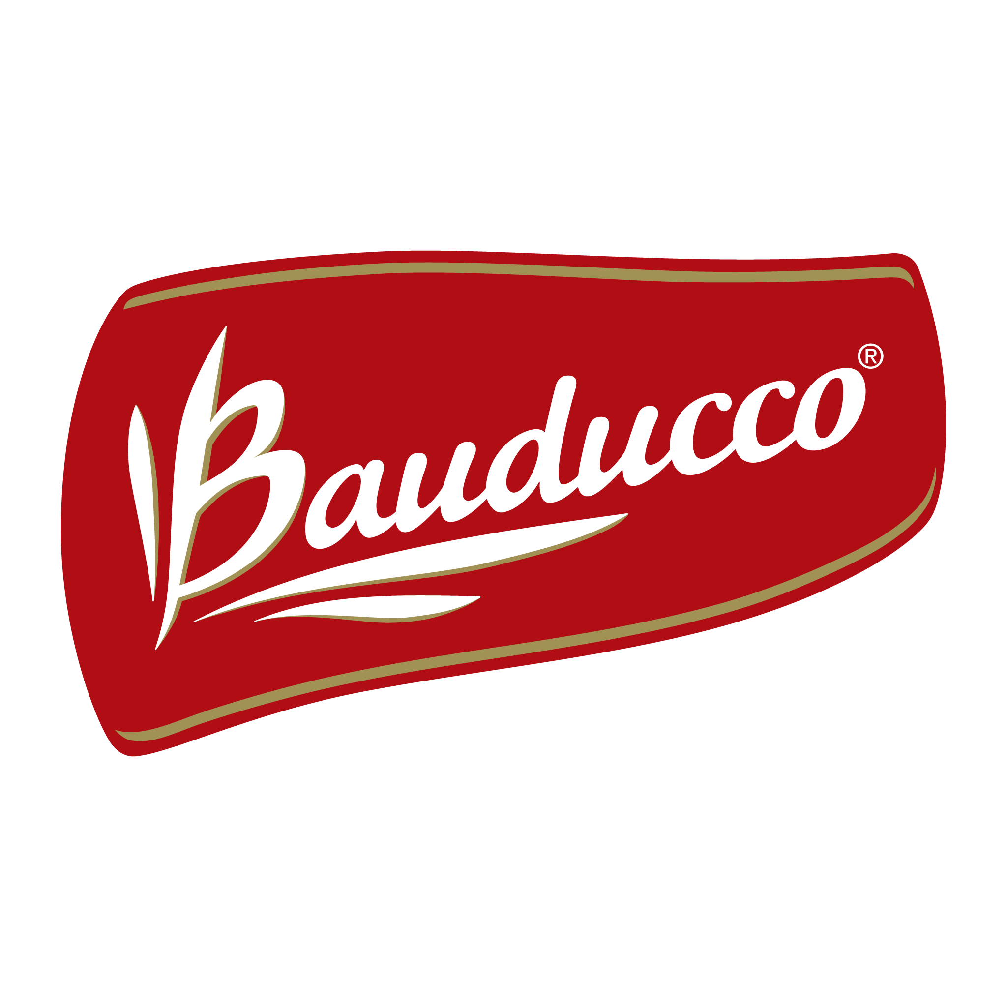 logo-bauducco-colorida.png